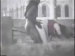 Onնկների վրա և ծծում